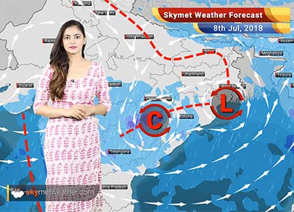 Weather Forecast for July 8: Heavy rain in Madhya Pradesh, Odisha, Chhattisgarh