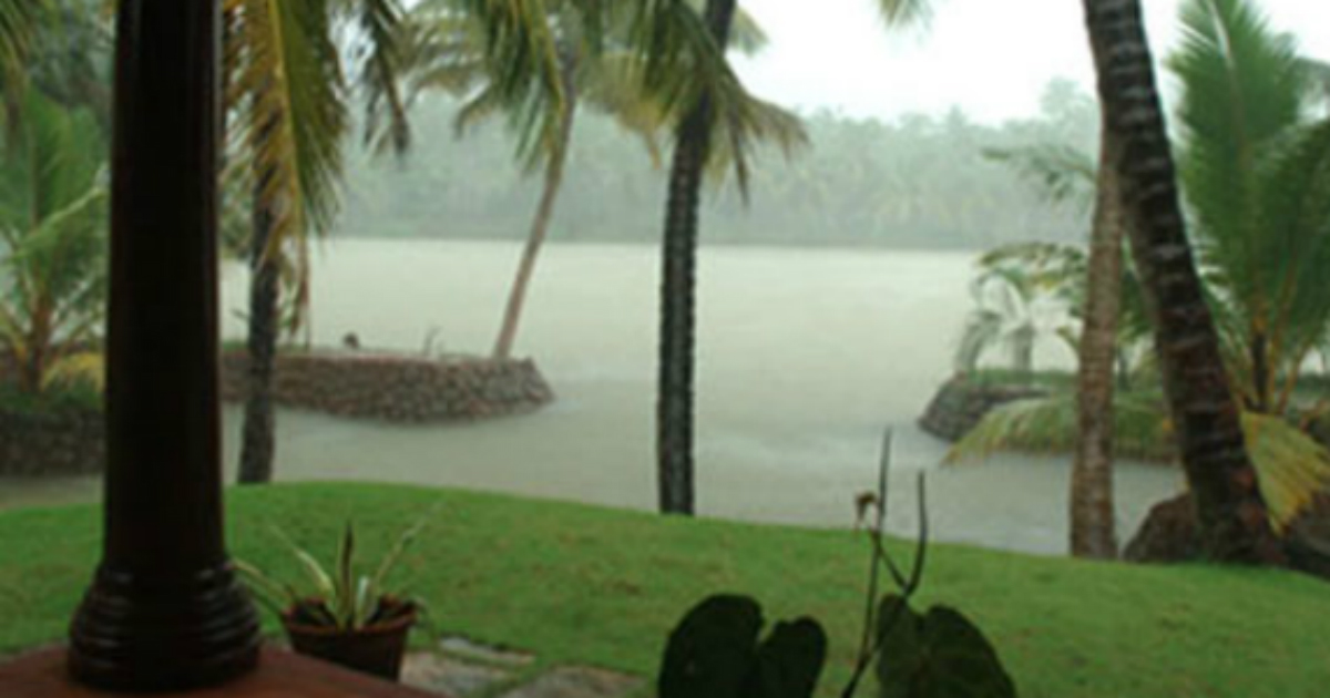 Kerala Monsoon: Hefty rains lash Wayanad, Palakkad, Punalur, Alappuzha ...