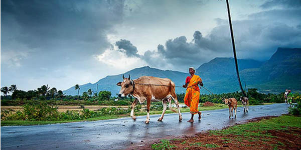 Monsoon-in-India