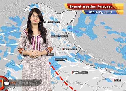 Weather Forecast for August 8: Rain in Vidarbha, Jharkhand, West Bengal; flooding likely in Odisha