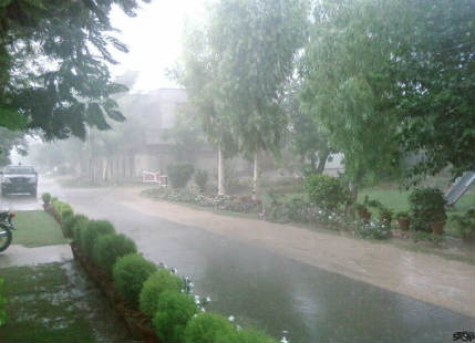Rain in Bihar and Jharkhand