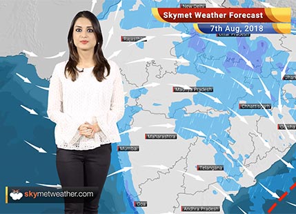 Weather Forecast for August 7: Rain in Delhi, Uttarakhand, Chhattisgarh, Odisha, East MP