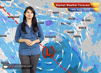 Weather Forecast for August 19: Rain in Odisha, Jharkhand, Uttarakhand, Himachal