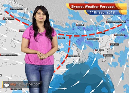 Weather Forecast for Sep 11: Rain in Uttar Pradesh, Bihar, Sikkim, Jharkhand, West Bengal