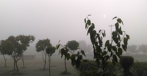 Fog in Punjab Fog in Haryana Smog in Delhi 600