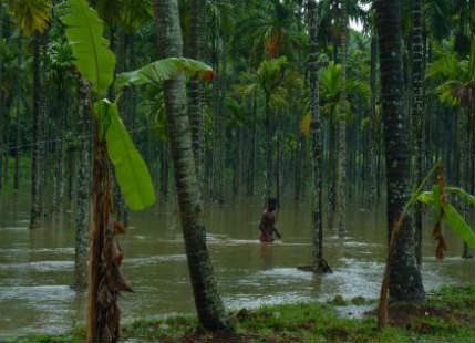 Kerala rains get heavy; Idukki, Thrissur, Palakkad on red alert