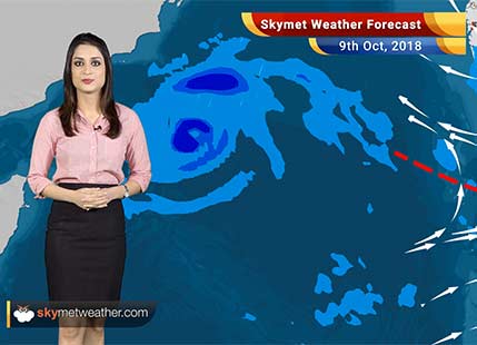 Weather Forecast for Oct 9: Rain in Bengaluru, Tamil Nadu, Kerala, Karnataka, Odisha, West Bengal