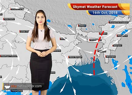Weather Forecast for Oct 16: Pollution to rise in Delhi; Rain in Bengaluru, Chennai, Kerala, Tamil Nadu