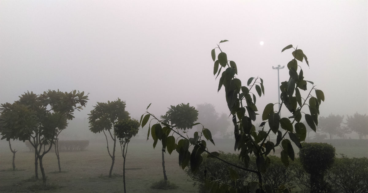 Fog in India remains in hiding this season | Skymet Weather Services