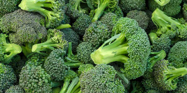 broccoli website