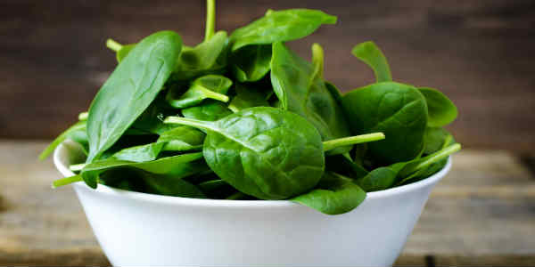 spinach website