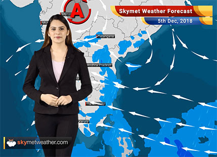 Weather Forecast for Dec 5: Rain in Chennai, Tamil Nadu, parts of Andhra Pradesh, Kerala, Karnataka likely