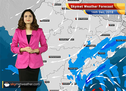 Weather Forecast for Dec 16:  Cyclone Phethai to bring heavy rains over Andhra Pradesh and Odisha