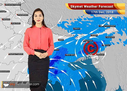 Weather Forecast for Dec 17: Cyclone Phethai to bring heavy rainfall in South India, light rains in East India