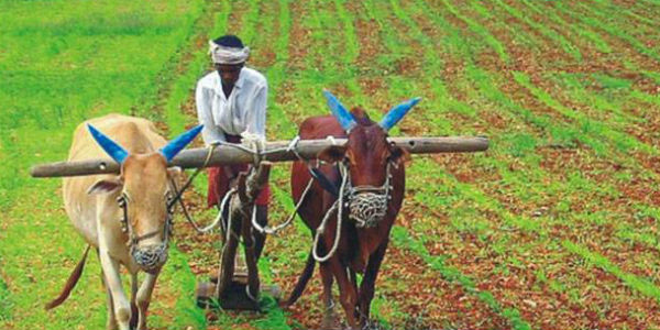 Agriculture and Union Budget