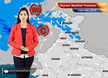 Weather Forecast for Feb 12: Light rain in Himachal and Jammu-Kashmir