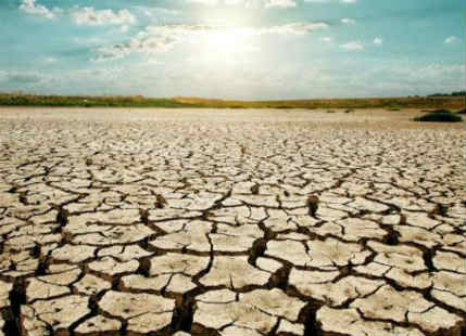 Drought in Maharashtra