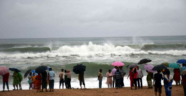 El nino--Critic brain 600