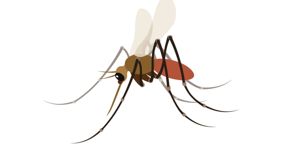 Climate Change Mosquito transmitted diseases to affect newer places