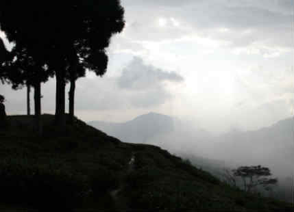 Rain In Darjeeling