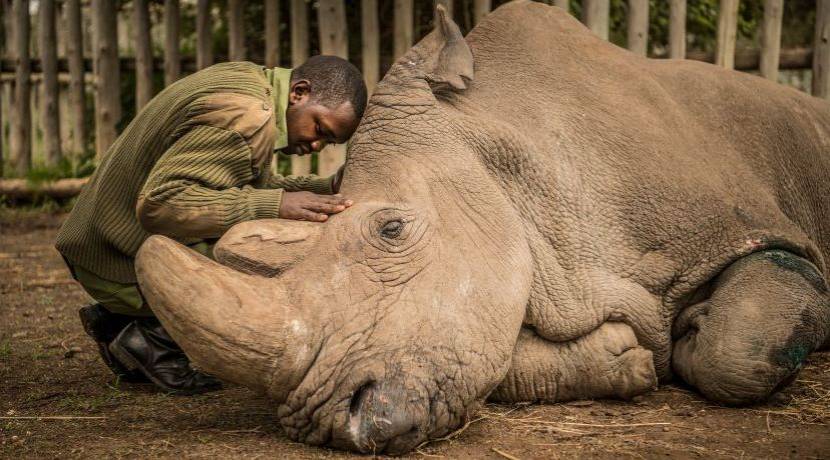 94eab224cfb336fc14364b788c6357da7b212a80