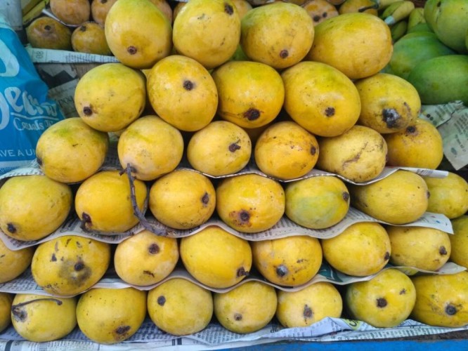 image credit : wikipedia 