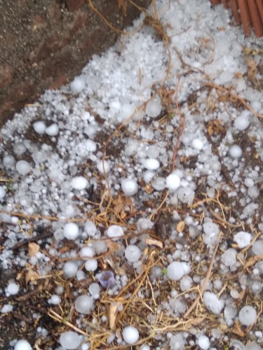 hailstorm in India