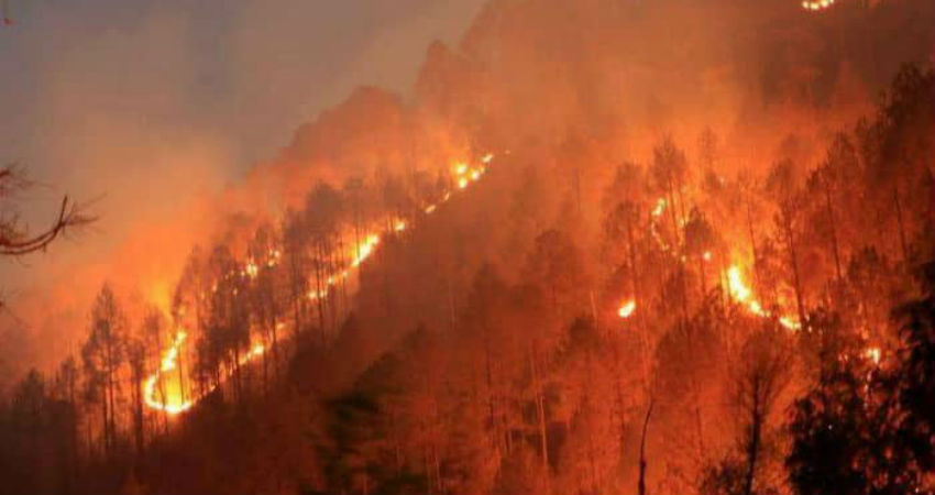 Uttarakhand Wildfires