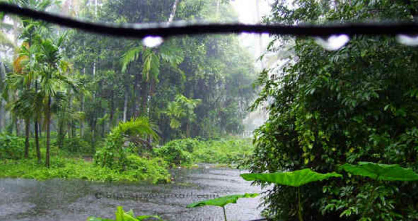 Kerala Rains 