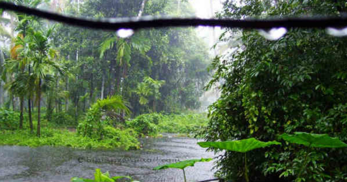 Kerala Rains