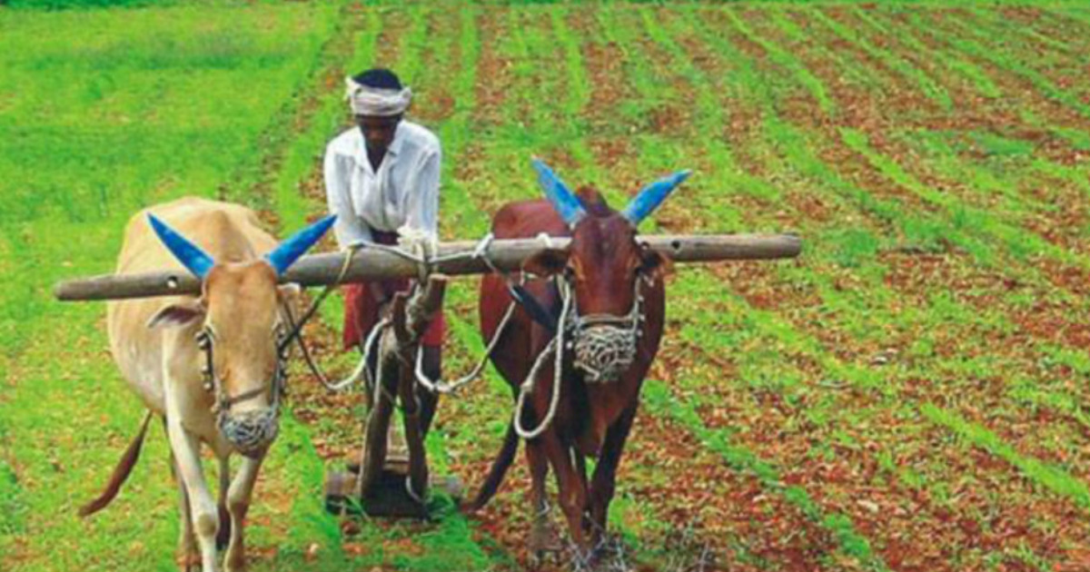 Monsoon and agriculture