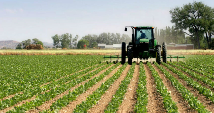 Monsoon and agriculture