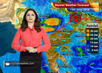 Weather Forecast for June 19: Monsoon to advance further in South Konkan and Goa, rain in Vidarbha