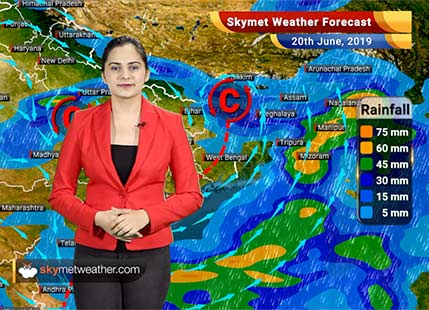Weather Forecast June 20: Heavy rain in parts of West Bengal, Odisha, Chhattisgarh, Andhra, Kerala, Karnataka