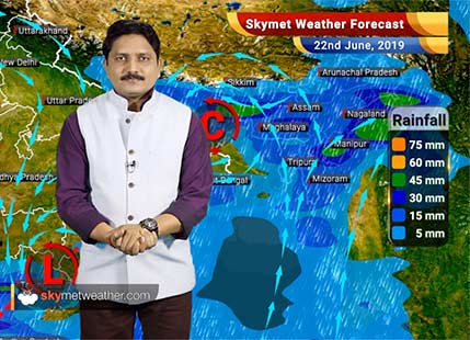 Weather Forecast for June 22: Southwest Monsoon 2019 reaches in parts of Chhattisgarh, Odisha, Bihar, rain to increase
