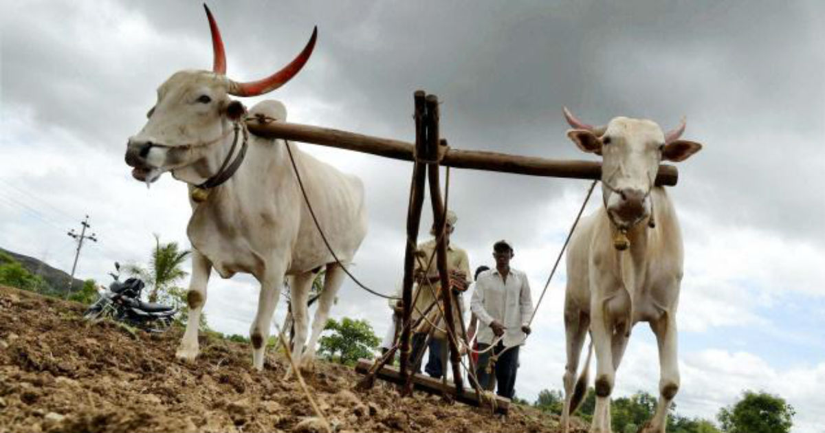 Poor monsoon in June 2019, stress on farm sector
