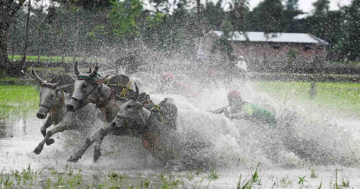 Monsoon and farmers in India