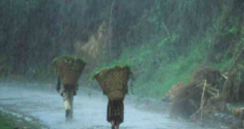 Nagaland Rains
