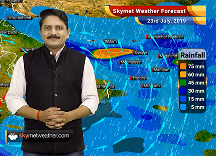 Weather Forecast for July 23: Southwest Monsoon to revive across India, heavy rains to start in Bihar and East UP