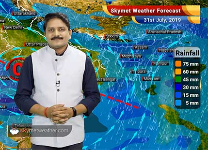 Weather Forecast July 31: Good rains to continue in Rajasthan and Madhya Pradesh, light rain in Delhi, Punjab and Haryana