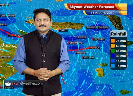 Weather Forecast for July 16: Rains to reduce in east UP and Bihar, Heavy rains likely in Punjab