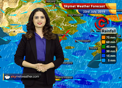 Weather Forecast for July 23: Moderate rain in Madhya Maharashtra, heavy showers in South Konkan