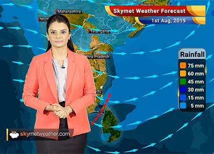 Weather Forecast Aug 1: Alwar, Tonk, Guna and Sagar to see moderate rains with few heavy spells