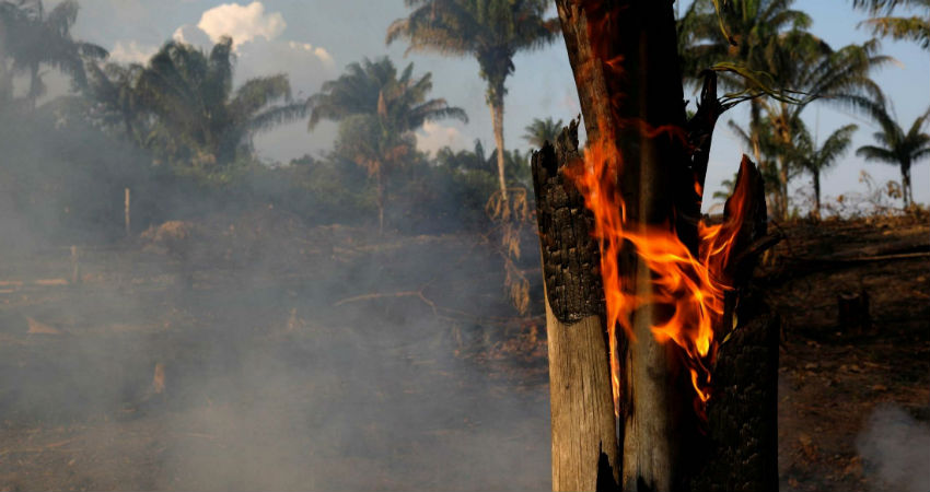 Amazon rainforest fires 