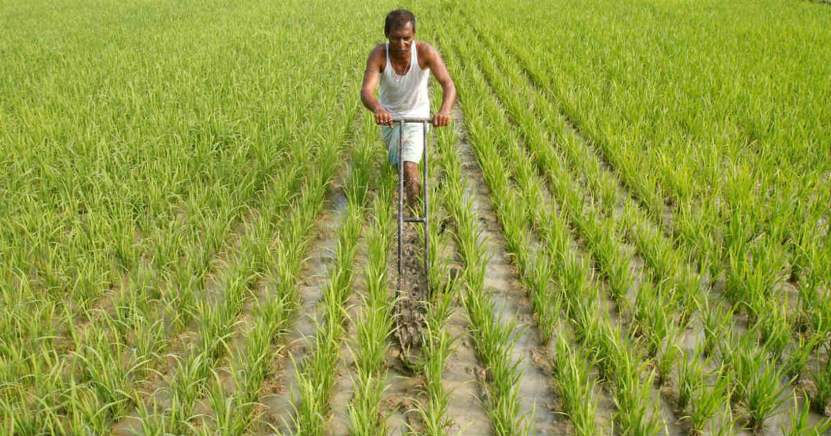 Farmers In India