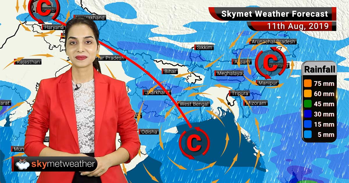 Weather Forecast Aug 11 Good rains in Chandigarh, Rupnagar, Ambala