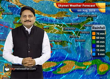 Weather Forecast Aug 6: Madhya Pradesh, Chhattisgarh and Odisha to observe good rains, Ladakh to be dry