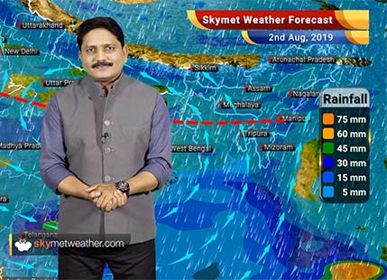 Weather Forecast Aug 2: Heavy rain in Rajasthan and Madhya Pradesh, Monsoon to revive in Uttar Pradesh