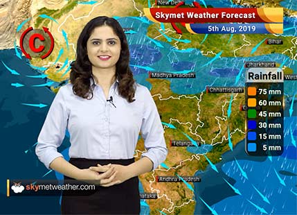 Weather Forecast for August 5: Heavy rains likely in Konkan and Goa, Mumbai rains to reduce