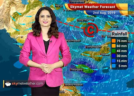 Weather Forecast for August 02: Rains to reduce in Vidarbha and Marathwada, Mumbai rains to continue
